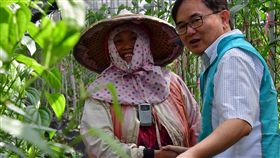 劉櫂豪提修法拉高荖葉荖花進口關稅（1）台灣進口荖葉關稅偏低，衝擊台灣荖葉產業。立委劉櫂豪（右）提案修改關稅法，將進口荖花、荖葉的關稅從原來0%至20%提高到200%，保護台灣荖葉、荖花產業。（劉櫂豪提供）中央社記者盧太城台東傳真  108年5月23日