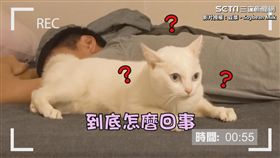 ▲豆漿爸完全沒反應，讓豆漿很傻眼。（圖／豆漿- SoybeanMilk　授權）