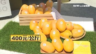 專偷芒果界LV　農民懸賞5萬抓竊賊