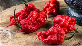 （圖／翻攝自推特）死神辣椒,卡羅萊納死神辣椒,Carolina Reaper