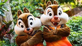 Chip n' Dale奇奇蒂蒂 FB