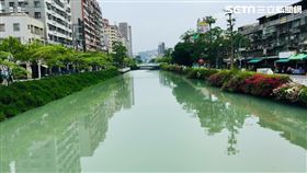 韓國瑜,高雄,愛河,青蘋果 圖/讀者提供