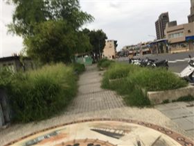 陳瓊華臉書發文（圖／翻攝自Chiung-hua Chen臉書）