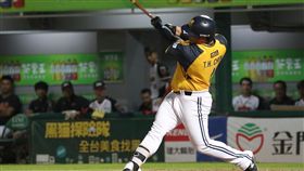 ▲中信兄弟陳子豪代打擊出致勝全壘打。（圖／中信兄弟球團提供）