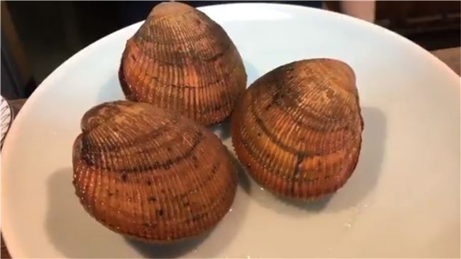 她海產店用餐！意外驚見餐桌鹹濕秀