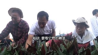 郭台銘倡科技農業！結合工業提升競爭