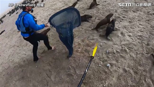 小海豹遭魚線纏頸　外國男這舉動太暖