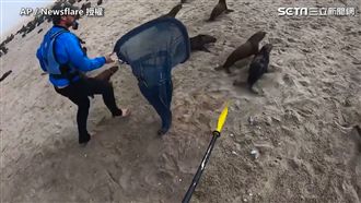 小海豹遭魚線纏頸　外國男這舉動太暖