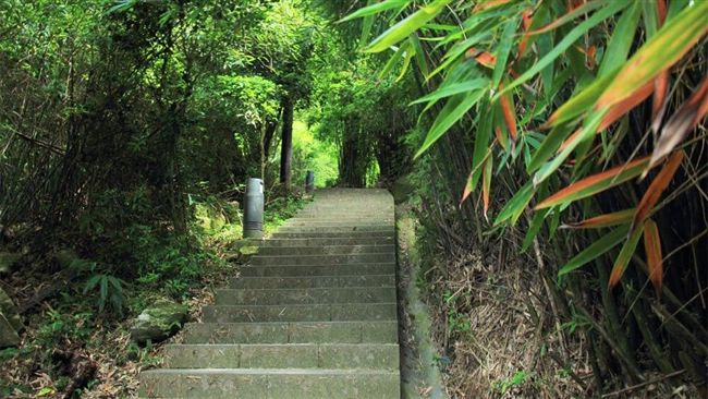 觀音山鬼打牆！他狂繞墳墓4.5H
