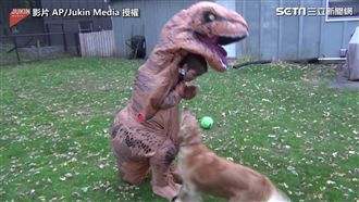 狗狗大戰恐龍！網：終於不是工讀生了