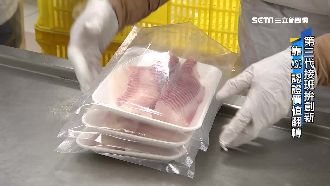 漁業之光！少年董靠台灣鲷進攻歐美