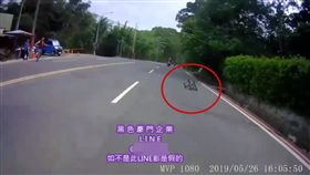 三灣落羽松,台3線,攤商,重機,苗栗／黑色豪門企業