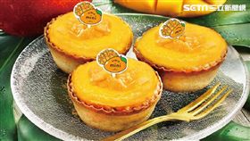 起司塔,PABLO,PABLO mini