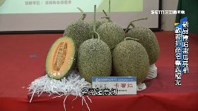 A(側標)歐若瓜外銷1801