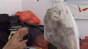 大陸山東一名時姓女子，日前收到一份「神秘包裹」，沒想到她打開伸手一摸，一根手指竟被不明生物咬傷，害她痛到跺著腳地哭。原來包裹內是一隻活蝎子，時女氣得要求快遞公司賠償，因為快遞單上面沒寫任何貨品訊息。最後快遞公司以700元人民幣（約新台幣3188元）當和解費，事件才得以落幕。（圖／翻攝自微博）