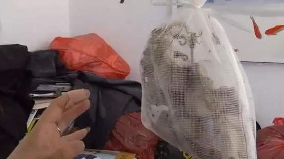 收到包裹！她打開一摸…痛到跺腳哭