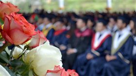 畢業典禮,畢業生,學士服 示意圖／Pixabay
