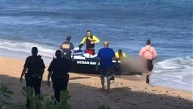 鯊魚,夏威夷,襲擊,小腿,咬痕,重傷,死亡,標誌,咬人,攻擊　圖／翻攝自推特　