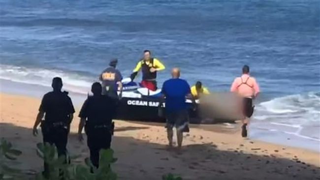 男游泳遭鯊魚攻擊　左小腿被咬掉慘死