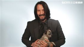 威視電影提供　電影捍衛任務3