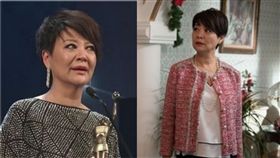 金燕玲／翻攝自資料照