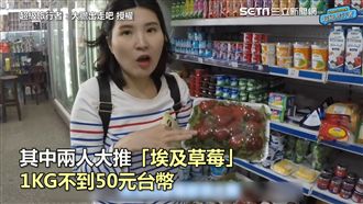 到埃及必買草莓！1kg僅50元台幣