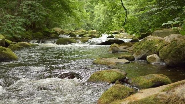 研究：全球河流遭抗生素嚴重污染