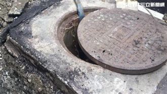 工廠排毒廢水釀死！強酸含超標重金屬