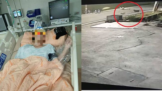 騎單車遭野狗攻擊　高中生慘跌腦出血