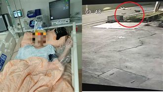 騎單車遭野狗攻擊　高中生慘跌腦出血