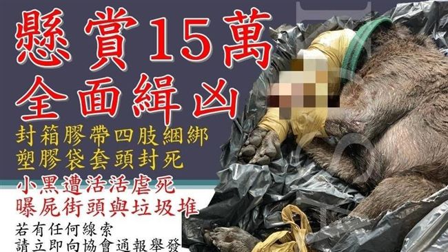 黑狗遭綑綁虐殺慘死　祭重金懸賞緝兇