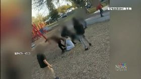 a勸阻被圍攻1200