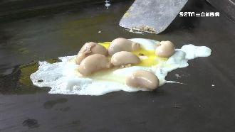 澎派！雞佛蛋餅超級狂　一早就並蹦叫