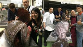 海中巨無霸！ 七星潭漁場捕獲逾200斤野生龍膽石斑(圖/翻攝畫面)