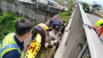 男欲墜7米陸橋　3警猛抓褲頭阻輕生