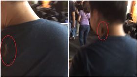 蟑螂飛到脖子上 損友只顧拍照／爆廢公社