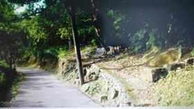 白嘉文，家暴傷害致死，兒子，棄屍，基隆，產業道路。