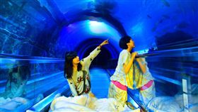 墾丁陸蟹繁殖季  海生館推夜宿生態遊程（1）墾丁陸蟹繁殖季節，海生館與社區合作，將從7月至10月推出夜宿海生館季節限定活動「蟹逅」。圖為夜宿海生館。（海景公司提供）中央社記者郭芷瑄傳真  108年5月29日