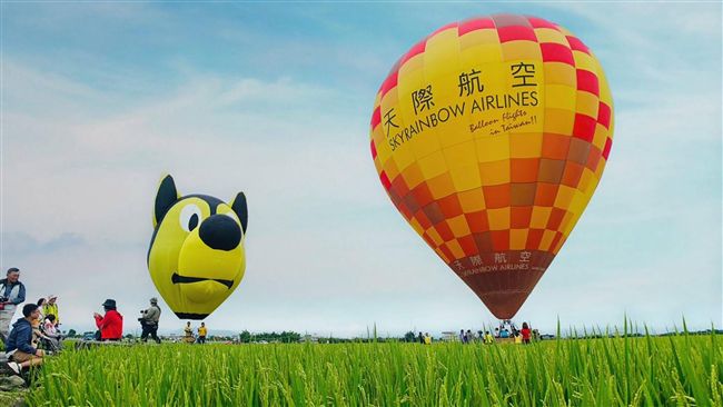 熱氣球升空賞稻浪！宜蘭冬山6月登場