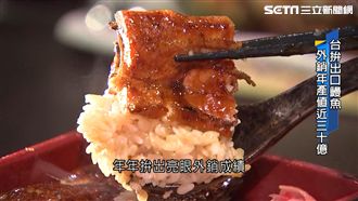 台拚鰻魚外銷！年產值高達28.6億