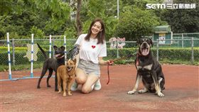 ▲王心恬（圖／凱渥提供）