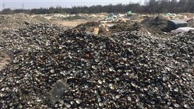 六輕氣爆台西鄉文蛤大量暴斃 圖／黃淑鈴議員提供