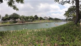 台中花博葫蘆墩園區免費入場台中世界花卉博覽會展區的葫蘆墩園區前身為葫蘆墩公園，是民眾高頻率使用的公共空間，台中市府藉花博活動將公園進行環境整理及設施優化，並免費開放民眾自由入園。（台中市議員陳清龍提供）中央社記者趙麗妍傳真　107年6月5日