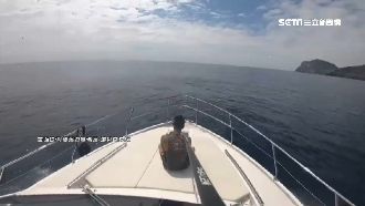 遊艇大會師衝花蓮港！11艘價值兩億