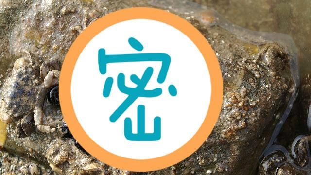 世界上「最長」的動物　不是藍鯨！
