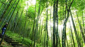 風景聞名的雲林草嶺。（圖／翻攝自交通部觀光局）