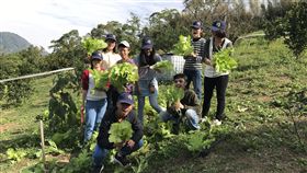 青年農stay打工換宿　薑麻園向大專生招手曾獲選全國十大經典農村的苗栗縣大湖鄉薑麻園休閒農業區，7月將辦理「青年農stay」農事體驗打工換宿活動，30日起開放大專生報名參加，額滿為止。（翻攝照片）中央社記者管瑞平傳真　108年5月30日