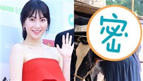 KARA,知英／翻攝自日網、知英IG