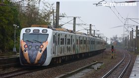 里山動物列車,台鐵局,彩繪,生態系,／台鐵局提供,顏贊成攝影