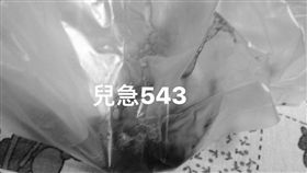 5歲童誤喝強鹼，食道灼傷「狂吐鮮血」／來講兒科急診的543-吳昌騰醫師授權提供
